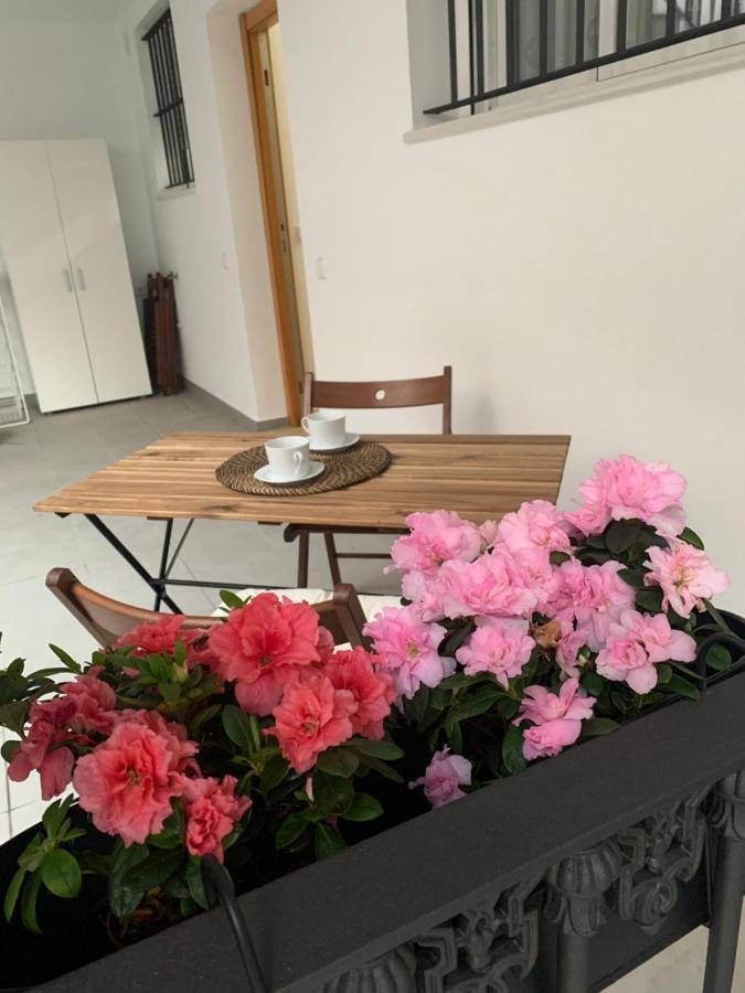 산루카데바라메다 Casa Vigon 아파트 외부 사진